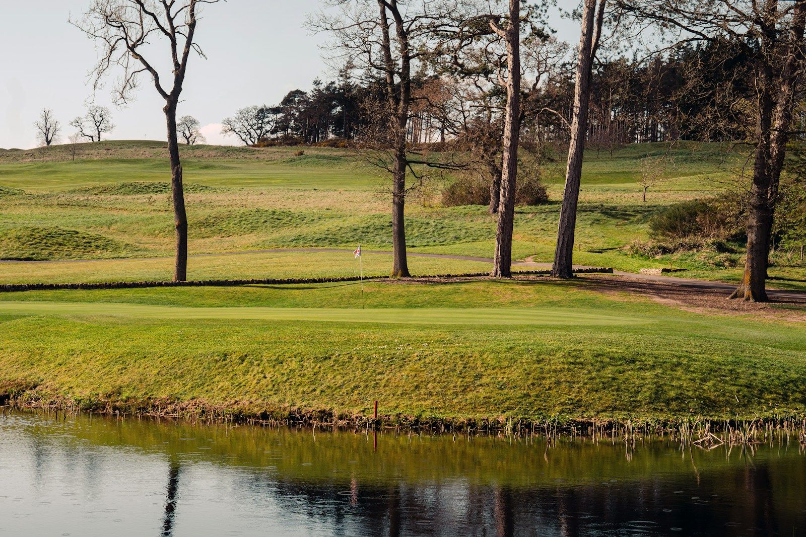 A calm pond beside a mown fairway, trees behind
