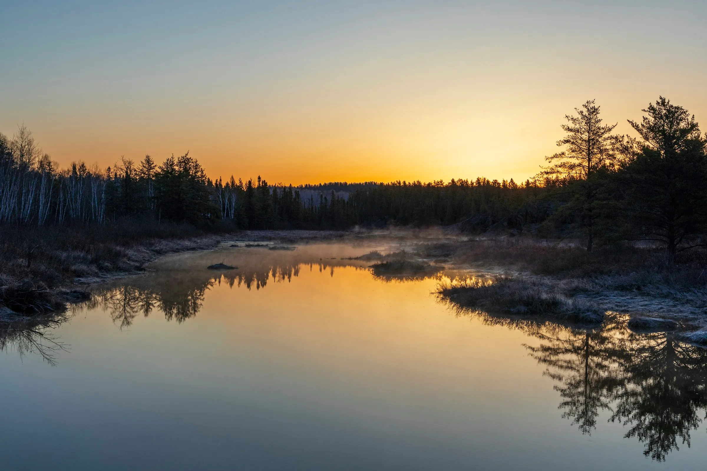 Mist rising off a still pond at sunrise, ringed by conifers
